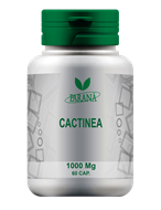 Imagem de Cactinea 1000Mg - 60 Cápsulas 