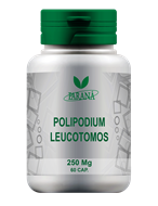 Imagem de Polypodium Leucotomos 240Mg - 60 Cápsulas 